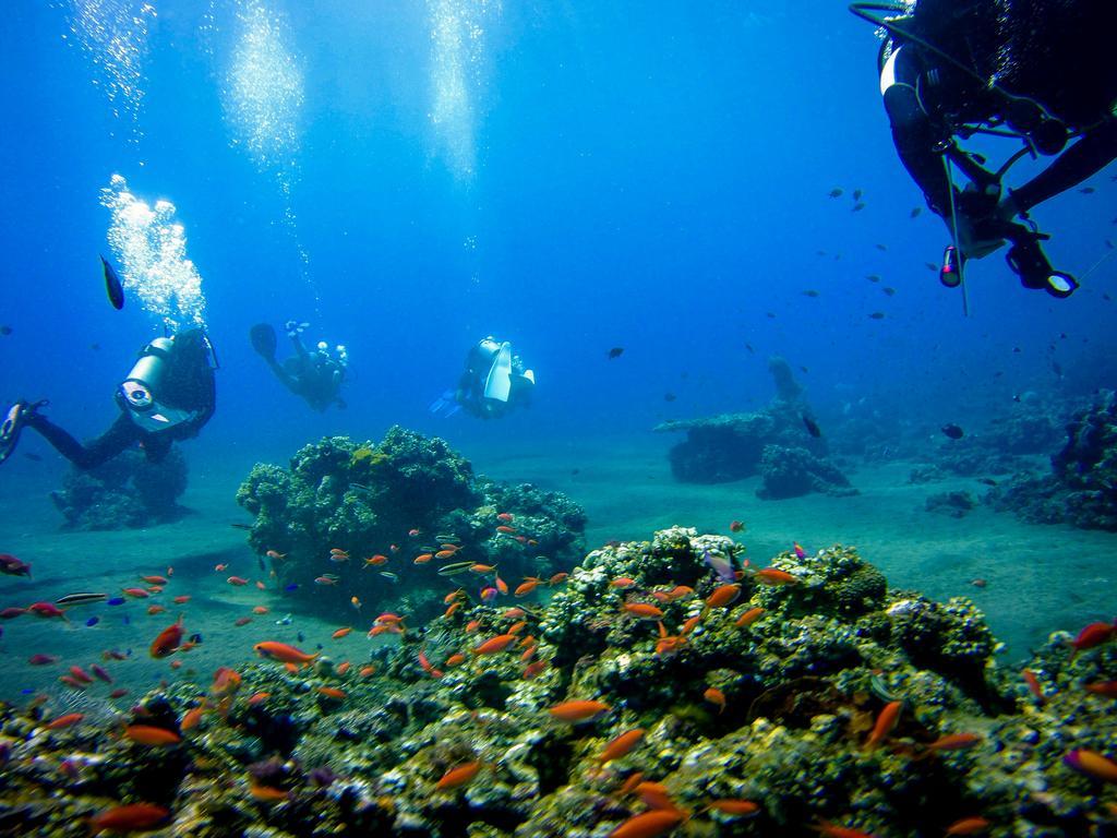 Villa Coral Pemuteran Εξωτερικό φωτογραφία